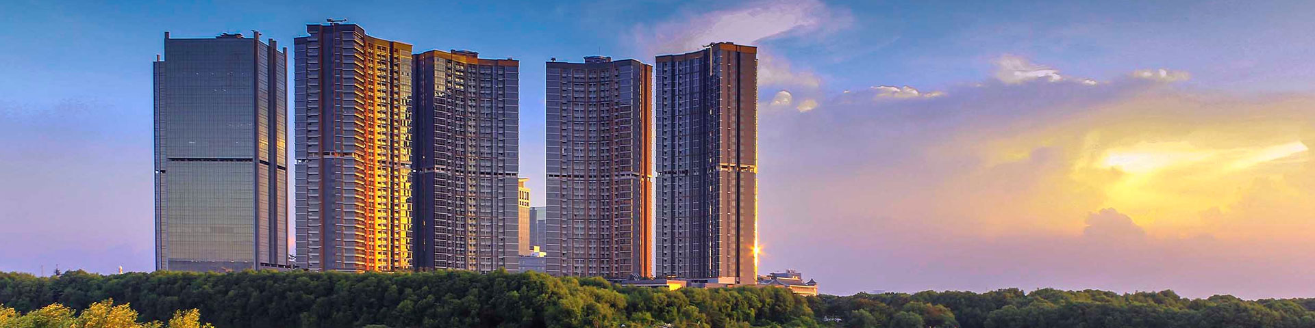 그누보드테마 티로그